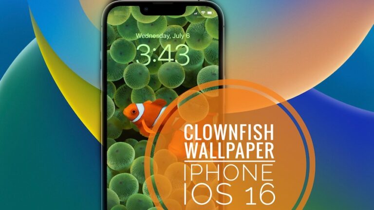 Обои с рыбой-клоуном недоступны на iPhone в iOS 16 Beta 3