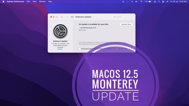 Особенности macOS 12.5, исправления ошибок, проблемы и обновления безопасности