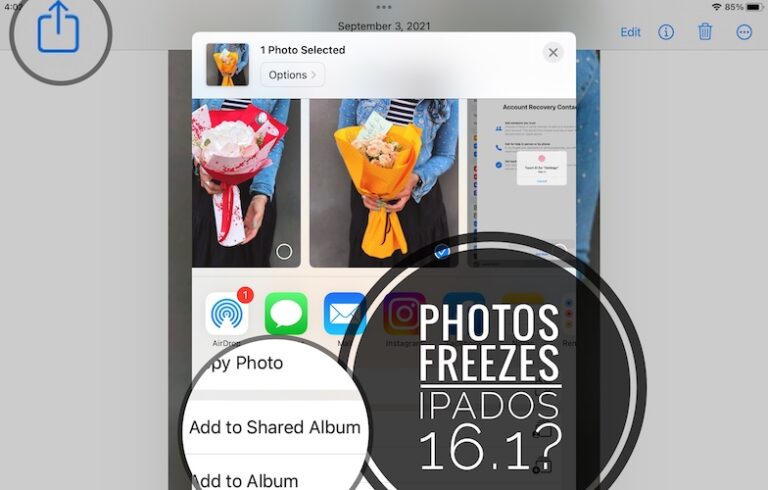 Фотографии зависают на iPad при добавлении изображения в общий альбом?