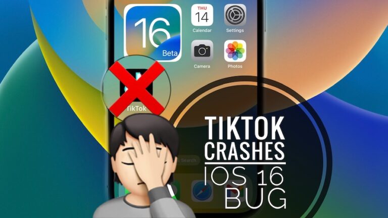 TikTok падает в бета-версии iOS 16 при обмене видео?  (Исправить!?)