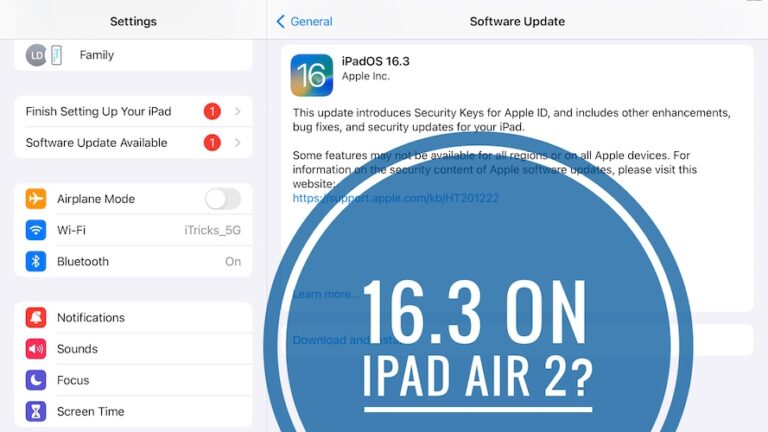 iPadOS 16 на iPad Air 2?  16.3 Релиз отображается в настройках?