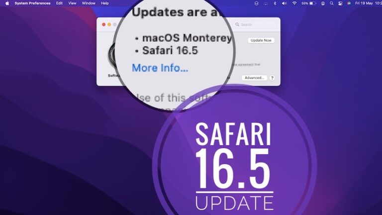 Проблемы с Safari 16.5, функции, исправления ошибок, обновления безопасности
